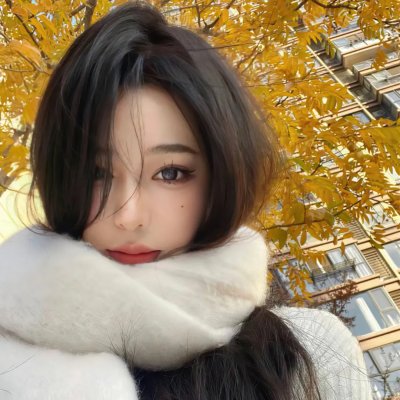 我的阿米什人双重生活